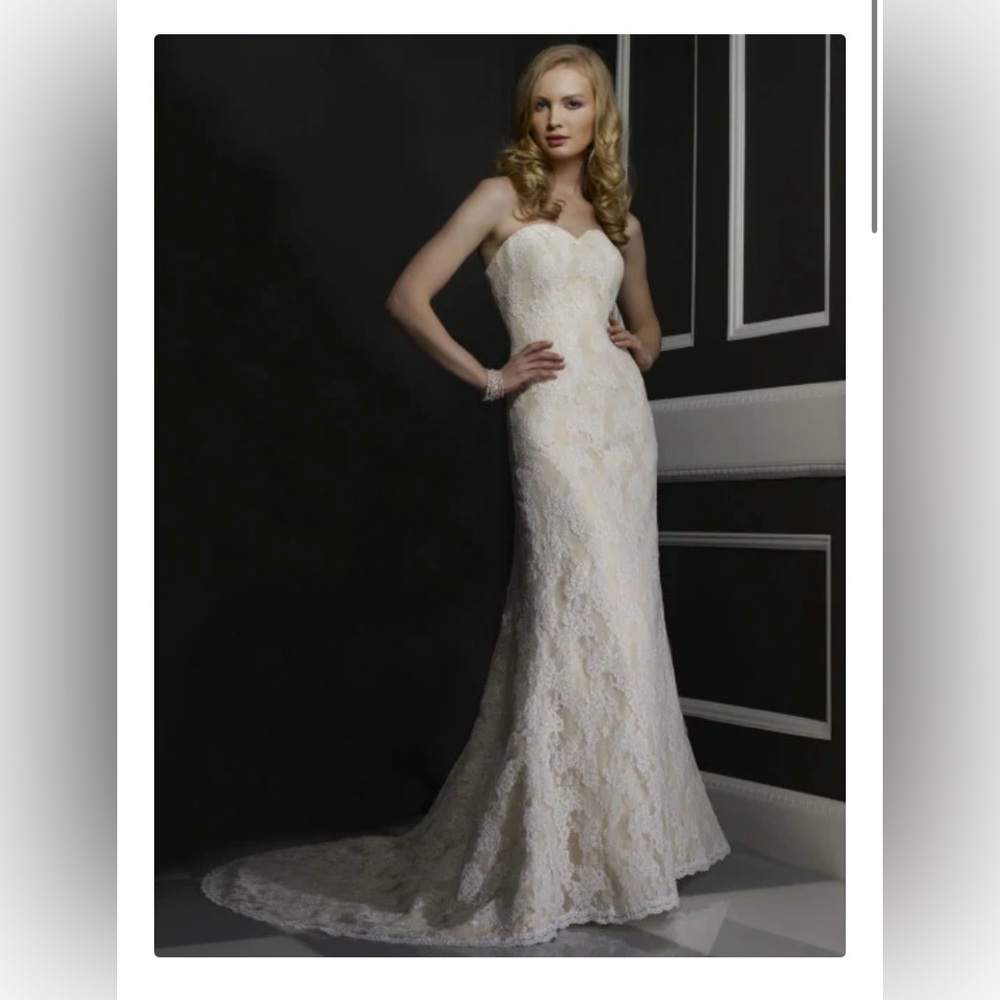 ✨NEW✨ Robert Bullock Bride Ivory & Cream Lace Wedding Dress with Train